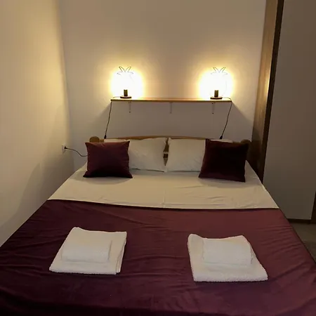 Green View Apartment Vozdivac